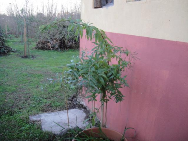 Name:  039.jpg
Views: 24718
Size:  41.8 KB
