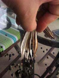 Name:  27agustos 046.JPG
Views: 48511
Size:  48.3 KB