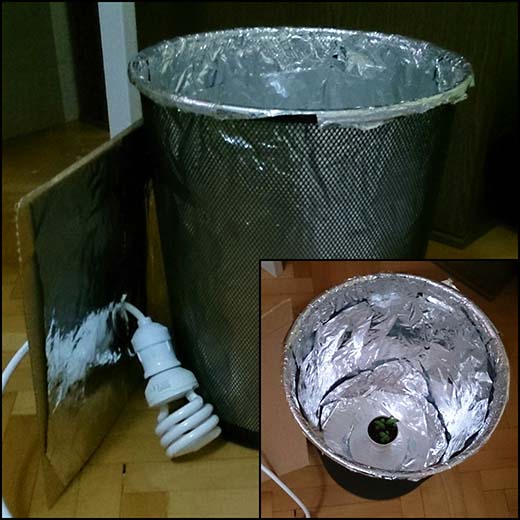 Name:  the cabin bin.jpg
Views: 1734
Size:  65.7 KB