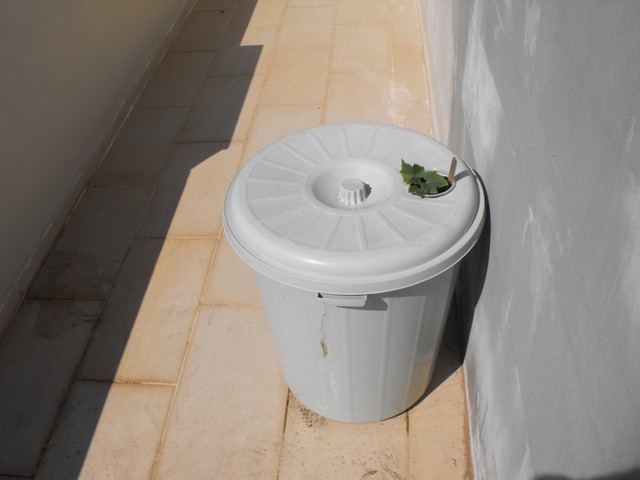 Name:  DSCF8741.jpg
Views: 727
Size:  48.6 KB