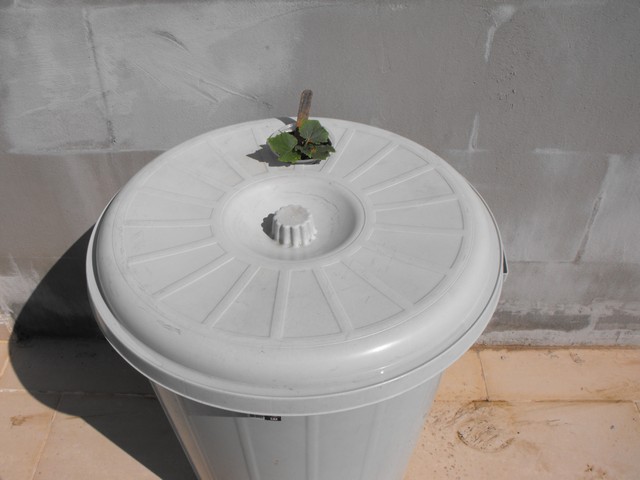 Name:  DSCF8742.jpg
Views: 1089
Size:  53.1 KB