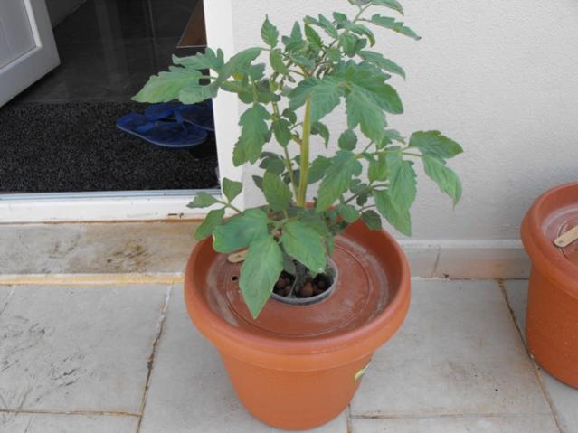 Name:  DSCF8748.jpg
Views: 651
Size:  37.3 KB