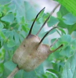 Name:  rekot.jpg
Views: 726
Size:  22.1 KB