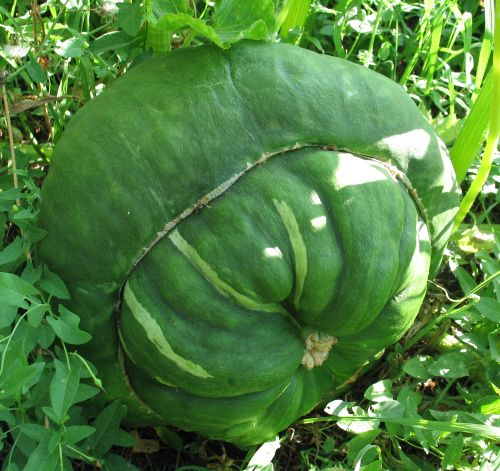 Name:  Marina di Chioggia Bal Kaba.jpg
Views: 932
Size:  69.1 KB