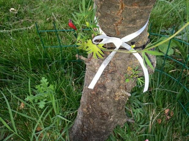 Name:  11813382_10153515336188415_4395126046116574509_n-640x640.jpg
Views: 351
Size:  71.2 KB