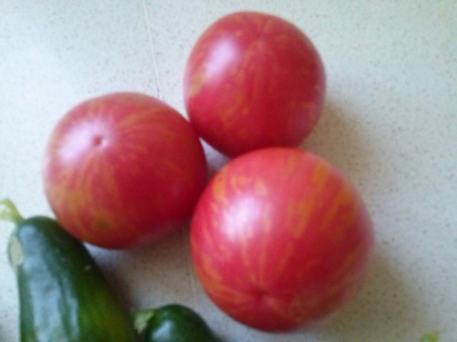 Name:  11825937_10153537493083415_1417752407505053867_n-640x640.jpg
Views: 279
Size:  50.9 KB