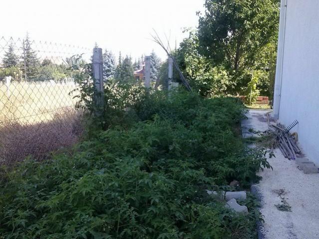 Name:  11701237_10153537493263415_2130363599444763381_n-640x640.jpg
Views: 272
Size:  60.8 KB