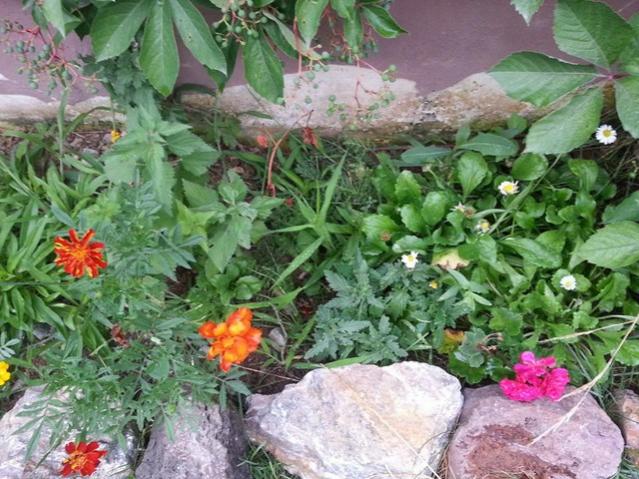 Name:  11800406_10153541509983415_2616304835583047949_n-640x640.jpg
Views: 273
Size:  68.8 KB