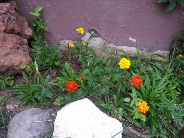 Name:  11796439_10153541510083415_1995720734808100342_n-640x640.jpg
Views: 262
Size:  59.0 KB