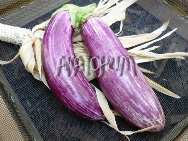 Name:  ManisaAlacasiANATOHUM.jpg
Views: 661
Size:  70.5 KB
