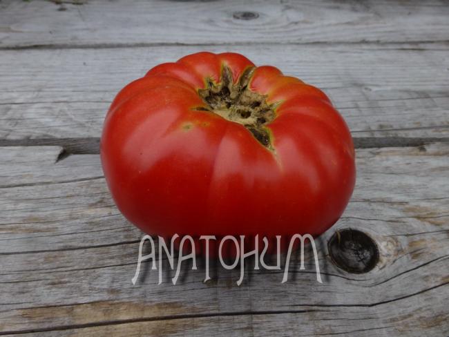 Name:  Heybetli3ANATOHUM.jpg
Views: 626
Size:  42.3 KB