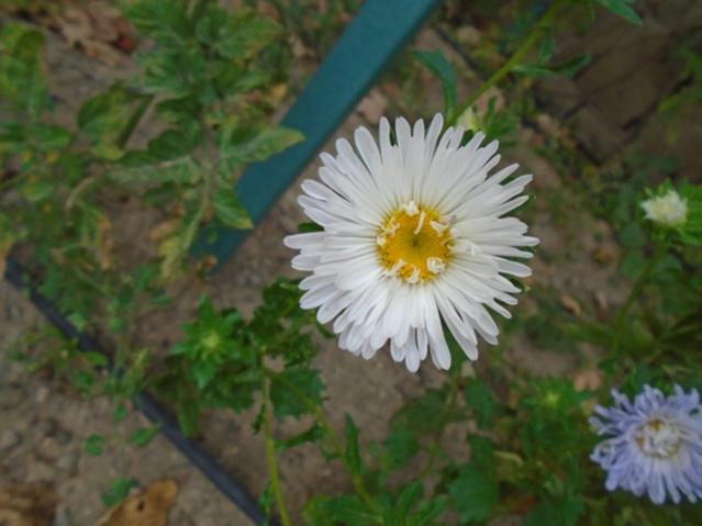 Name:  DSC00090.jpg
Views: 557
Size:  35.4 KB