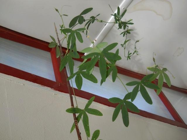 Name:  DSCN7130.jpg
Views: 578
Size:  32.7 KB