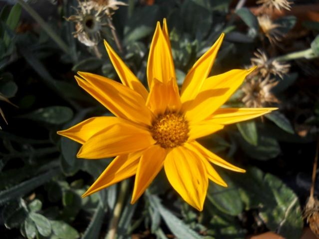 Name:  DSCN7369.jpg
Views: 588
Size:  39.8 KB