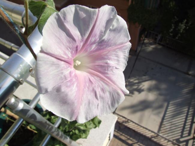 Name:  DSCF3830.jpg
Views: 463
Size:  40.4 KB