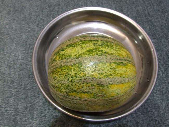 Name:  DSCF4244.jpg
Views: 741
Size:  49.3 KB