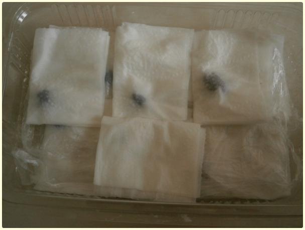 Name:  Kark Faslye.jpg
Views: 613
Size:  23.1 KB