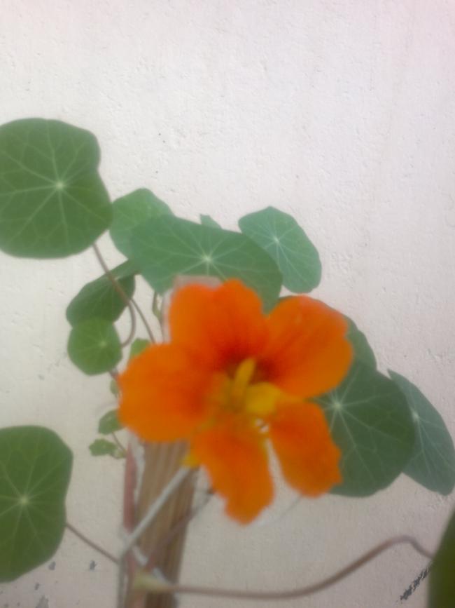 Name:  020520164374.jpg
Views: 344
Size:  35.4 KB