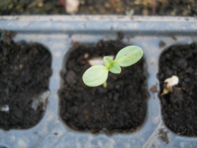 Name:  DSCN8345.jpg
Views: 291
Size:  29.2 KB