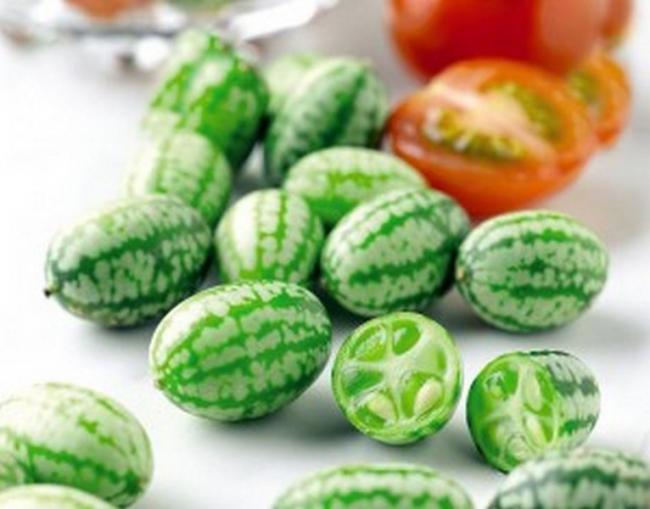 Name:  cucamelon12-300x235.jpg
Views: 776
Size:  38.1 KB