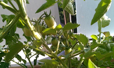 Name:  IMAG0019.jpg
Views: 478
Size:  54.8 KB