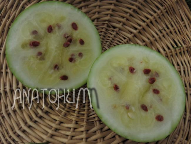 Name:  EtSariTohumAl2.jpg
Views: 591
Size:  44.5 KB