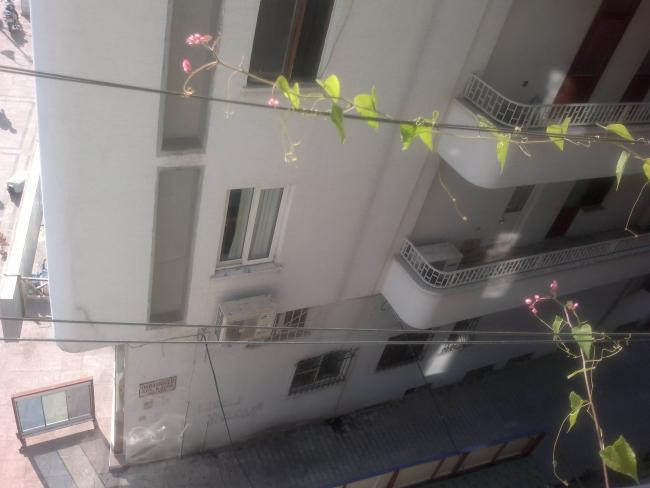 Name:  101020165438.jpg
Views: 349
Size:  31.5 KB