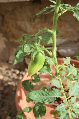 Name:  IMG_3585.jpg
Views: 231
Size:  66.9 KB