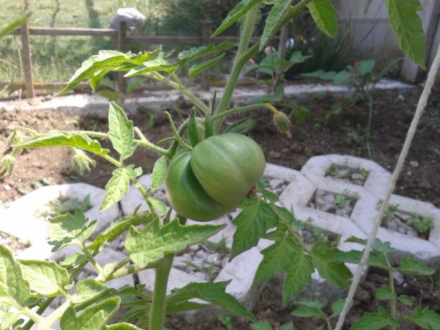 Name:  20170720_120114.jpg
Views: 587
Size:  53.6 KB