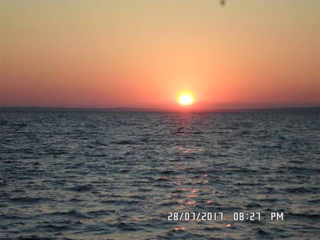 Name:  SAM_0605_Edited.jpg
Views: 343
Size:  38.5 KB