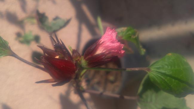 Name:  20171208_123748.jpg
Views: 526
Size:  19.2 KB