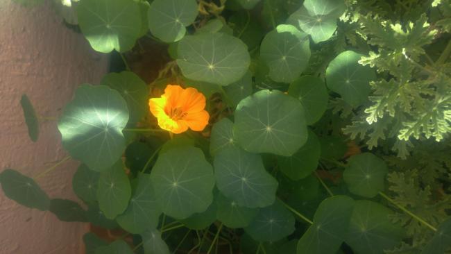 Name:  20171030_110148.jpg
Views: 430
Size:  26.7 KB