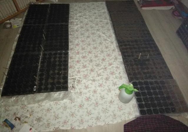 Name:  2019 viyole ekim..jpg
Views: 609
Size:  37.9 KB
