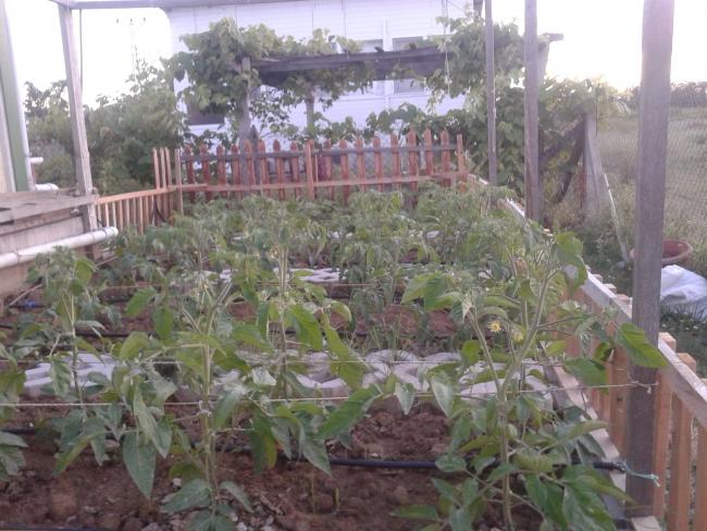 Name:  20190630_201013-min.jpg
Views: 911
Size:  57.9 KB