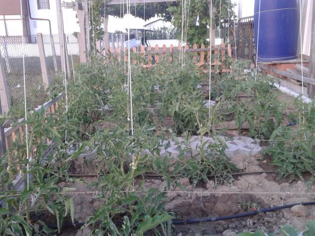 Name:  20190709_193032-min.jpg
Views: 927
Size:  70.6 KB