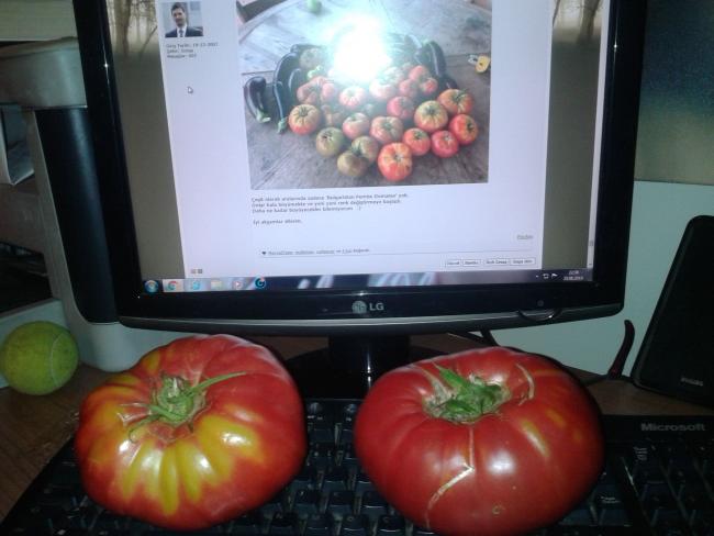 Name:  20190823_223628-min.jpg
Views: 589
Size:  37.0 KB