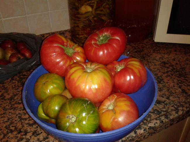 Name:  20190823_211532-min.jpg
Views: 523
Size:  43.1 KB