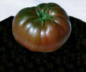 Name:  Black Krim3.jpg
Views: 21960
Size:  6.7 KB