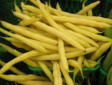 Name:  GoldenWax.jpg
Views: 5987
Size:  64.6 KB