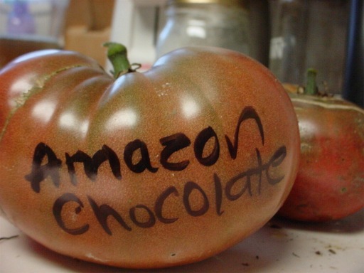 Name:  AmazonChocolate.jpg
Views: 1781
Size:  49.3 KB