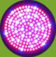 Name:  growled-dual.gif
Views: 3048
Size:  5.1 KB