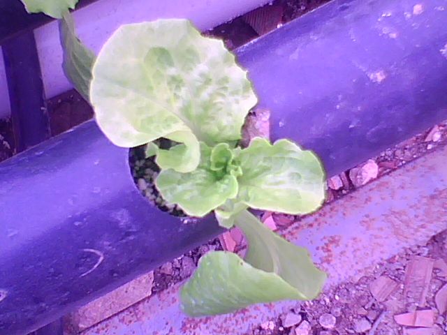 Name:  9A.jpg
Views: 6984
Size:  50.0 KB