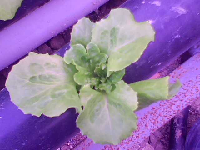 Name:  10.jpg
Views: 7062
Size:  23.6 KB