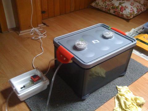 Name:  biber.jpg
Views: 3422
Size:  25.4 KB