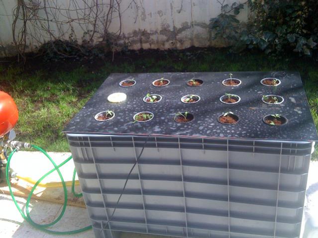 Name:  rez3.jpg
Views: 2297
Size:  50.2 KB