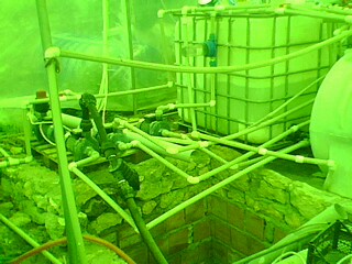 Name:  IMG0228A.jpg
Views: 2107
Size:  33.0 KB