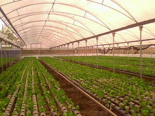 Name:  IMG0225A.jpg
Views: 1922
Size:  34.3 KB