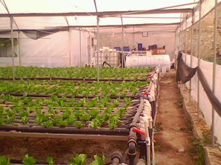 Name:  IMG0226A.jpg
Views: 1833
Size:  31.2 KB