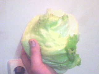 Name:  IMG0256A.jpg
Views: 1817
Size:  14.1 KB