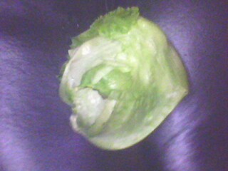Name:  IMG0262A.jpg
Views: 1828
Size:  16.9 KB